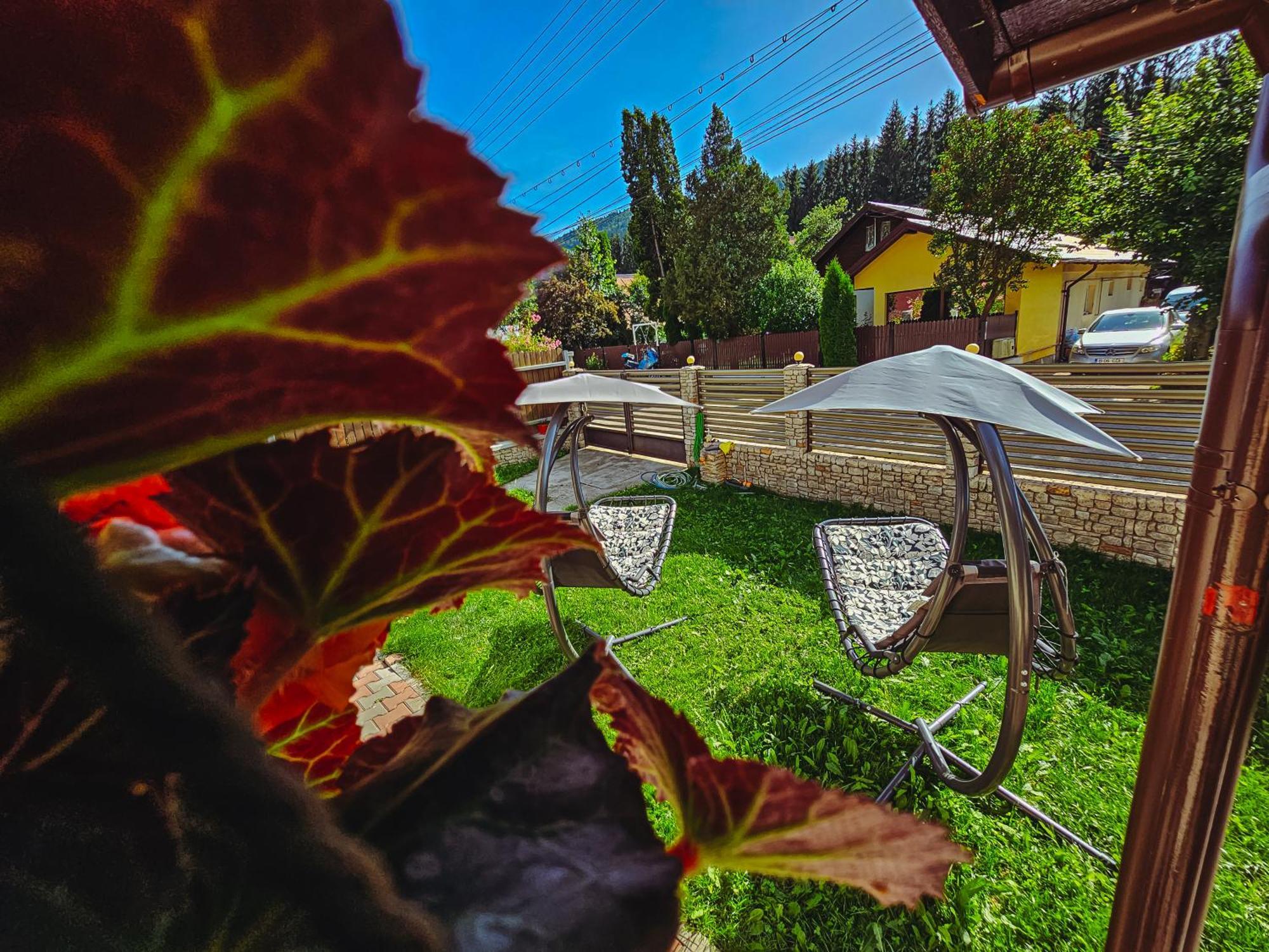 Hotel Alpine Bliss Sinaia Zewnętrze zdjęcie